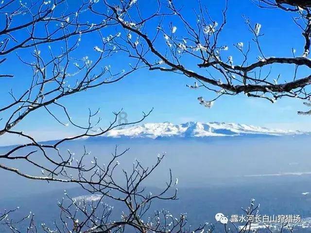 校园女生找不同4